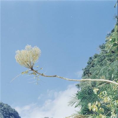 am8亚美ag旗舰厅官网